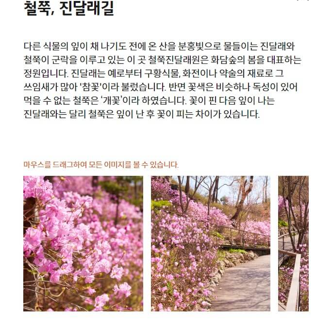 철쭉,진달래길