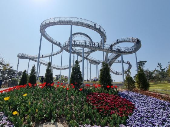 포항 벚꽃