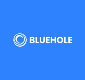 블루홀스스튜디오