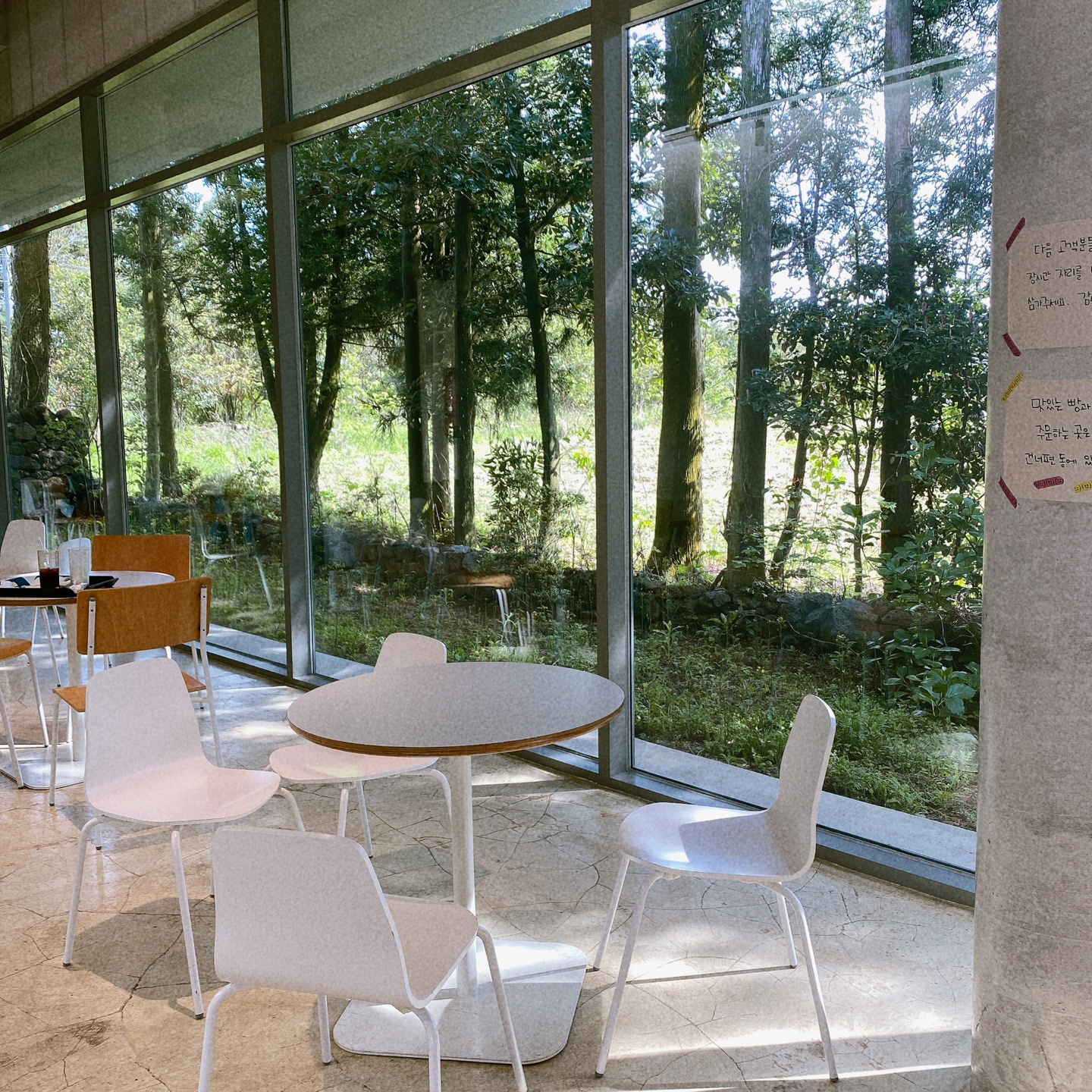 제주 구좌 송당무끈모루 안돌오름 밧돌오름 웨딩포토존 웨딩촬영 대형베이커리 카페 안도르 andor 인생샷