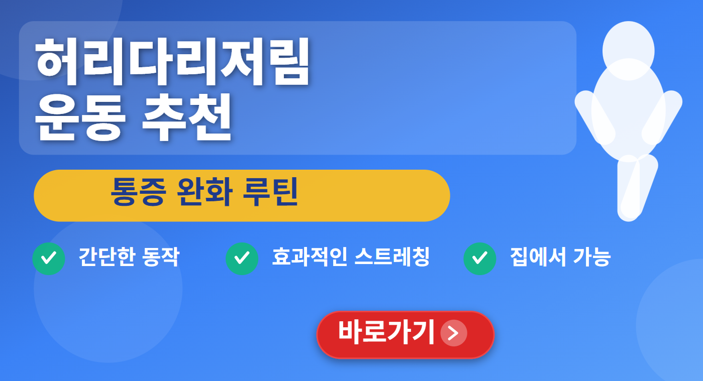 허리다리저림운동 추천 (통증 완화 루틴)
