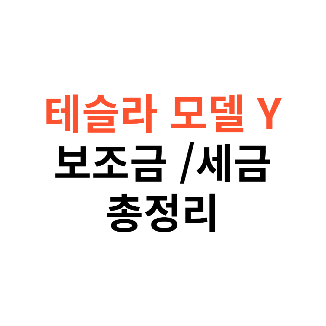 테슬라 모델 Y