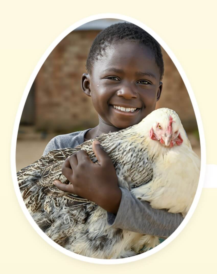 브룬디 토마스 닭