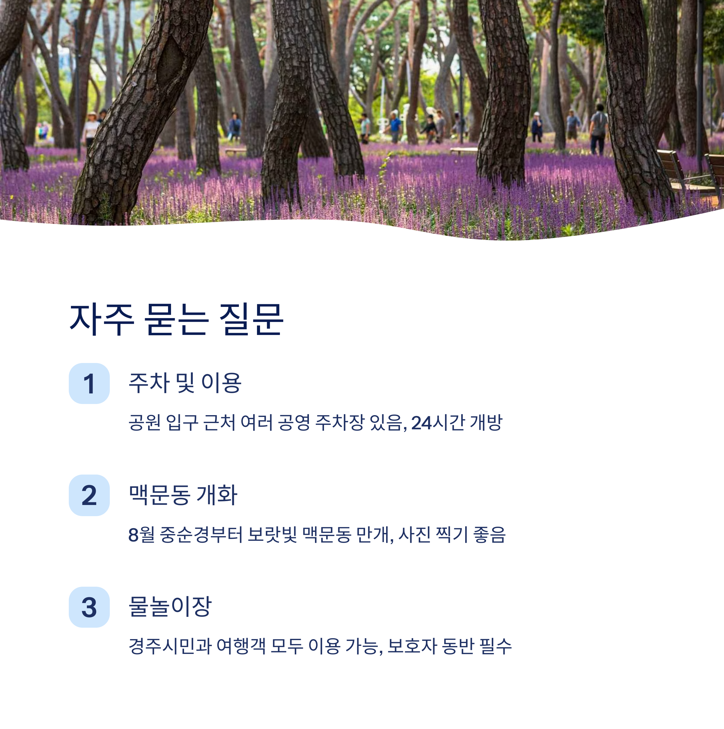 자주 묻는 질문