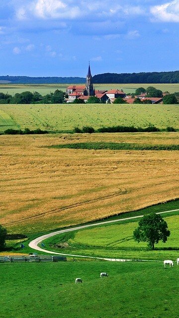 내장산 케이블카 예약 방법