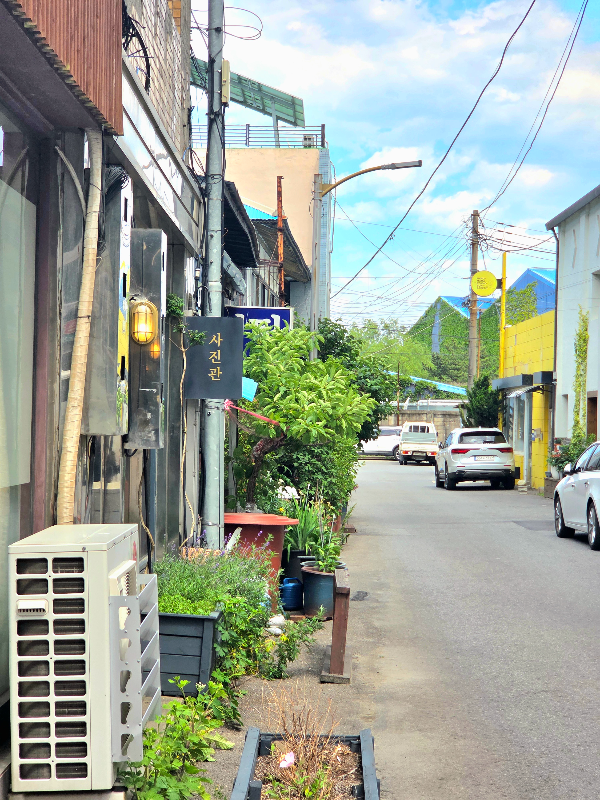 [TripLog] 나홀로 1박 2일 뚜벅이 묵호 여행