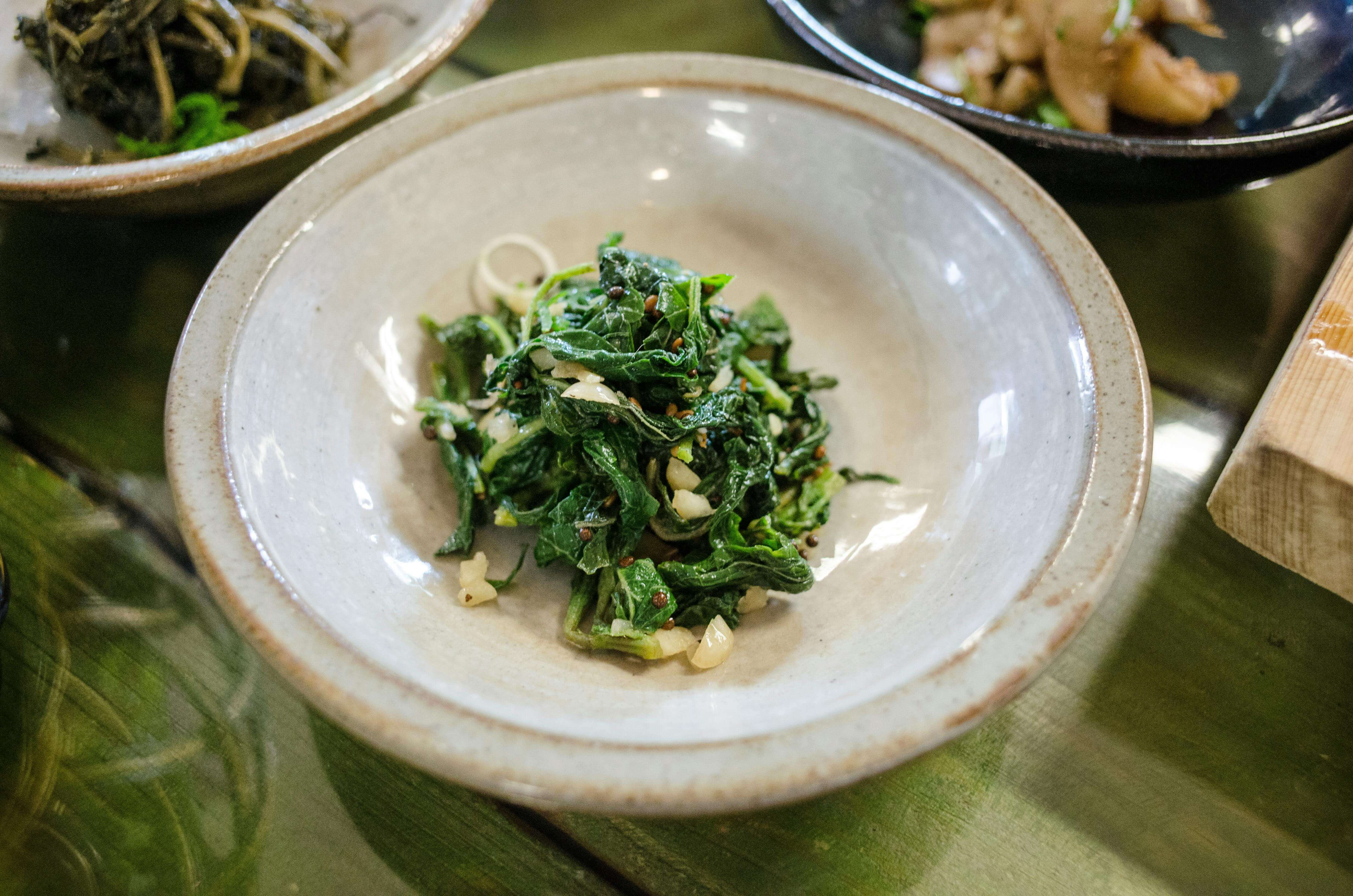 봄나물 효능과 종류 완벽 정리, 꼭 먹어야 하는 이유