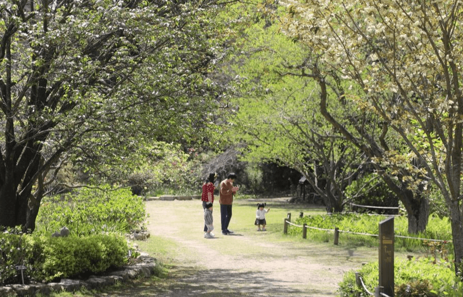 천리포수목원 봄축제: 자연이 피어나는 순간을 걷다!