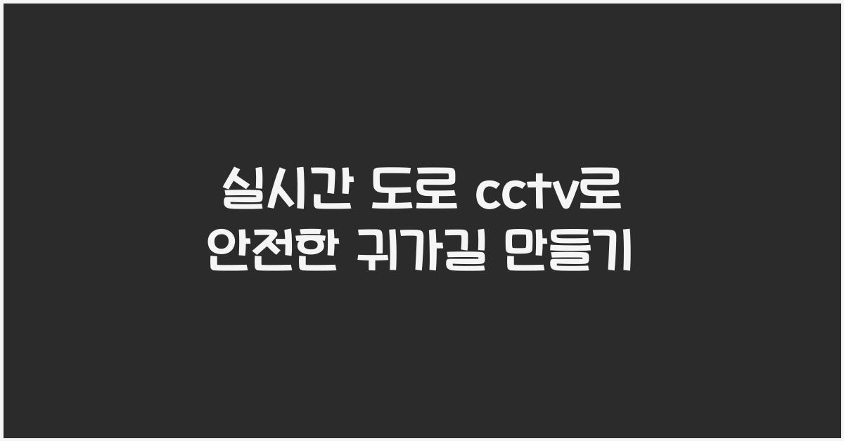 실시간 도로 cctv