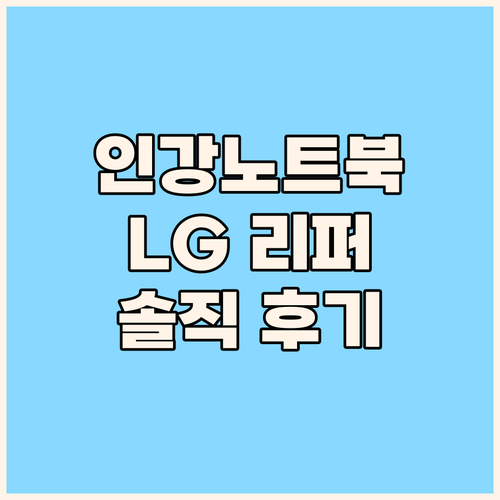 인강용 노트북 고민 끝 LG 15N3..