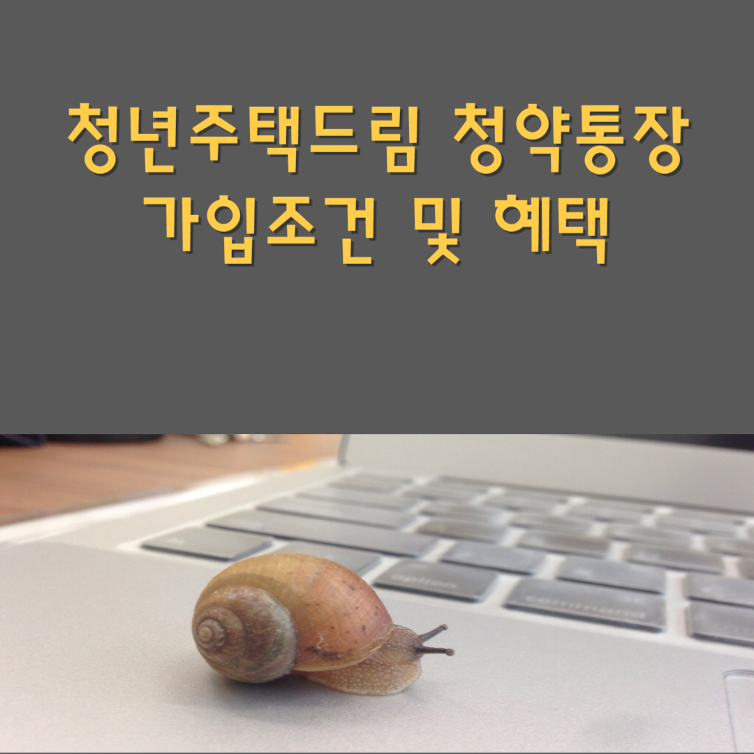 청년주택드림 청약통장