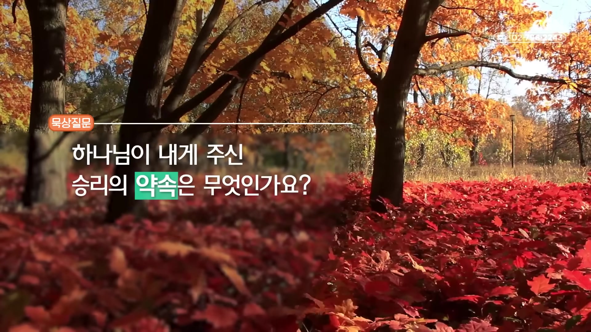 하나님이 내게 주신 승리의 약속은 무엇인가요?