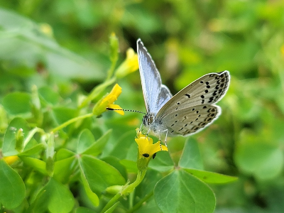 6월 마지막주 대표 기도문