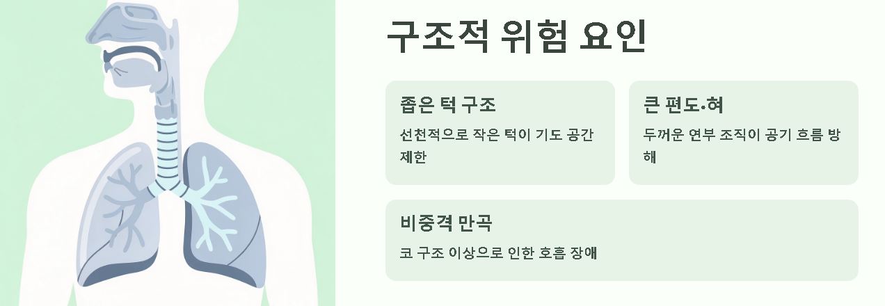 수면 무호흡증 치료
