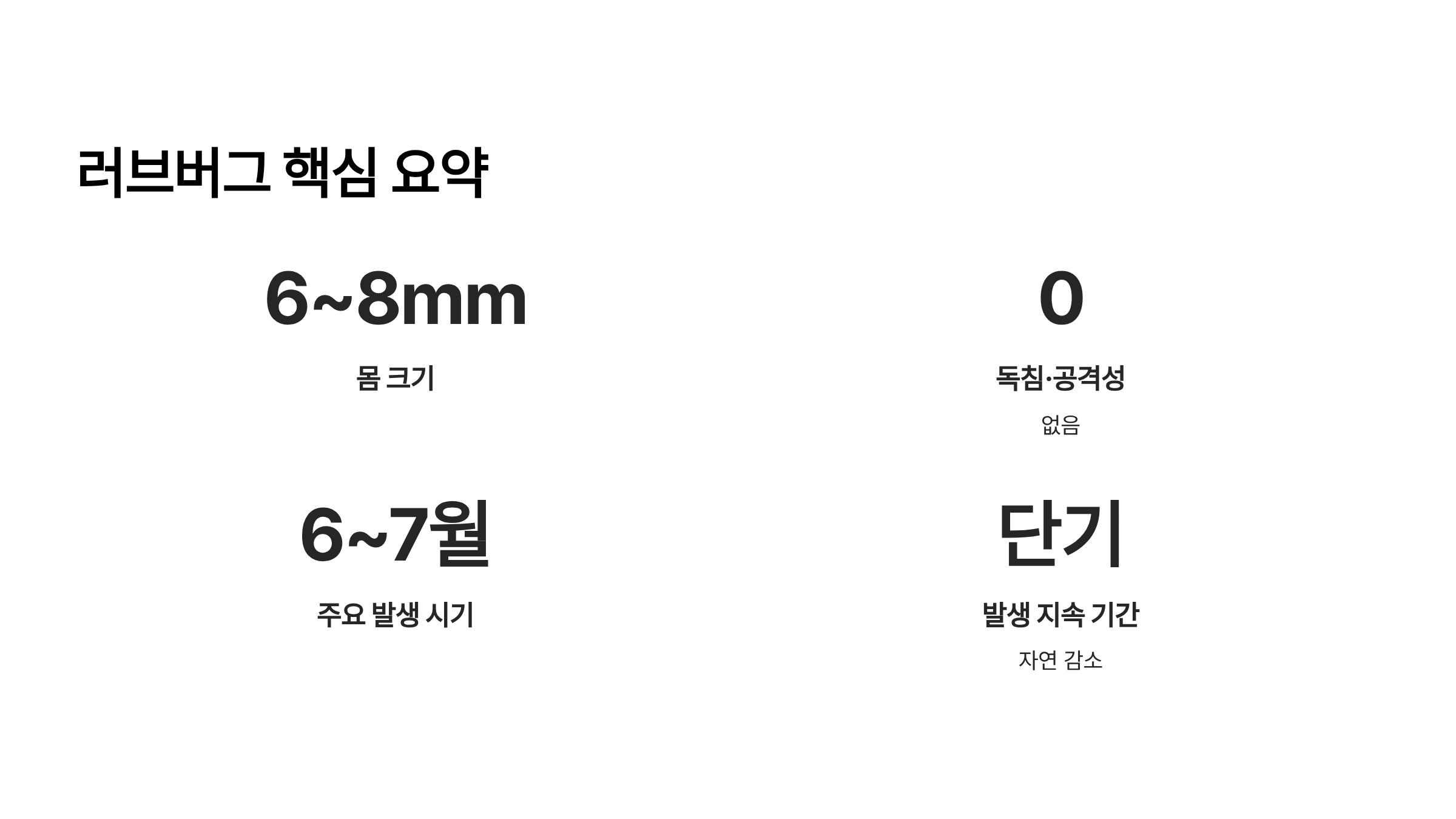 러브 버그