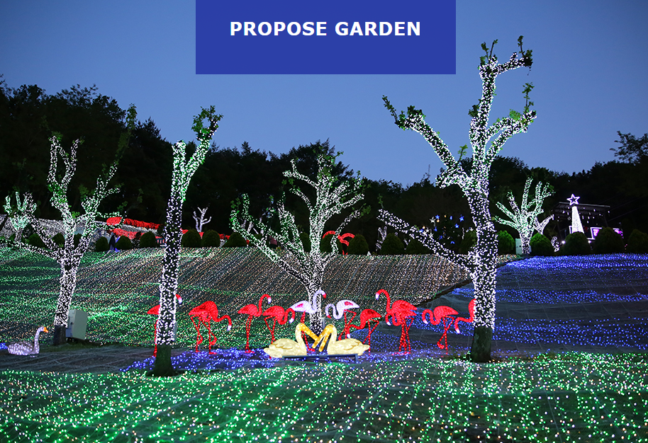 청도 프로방스 빛축제ㅣ물놀이장ㅣ동물체험ㅣ입장료ㅣ반려동물 정보