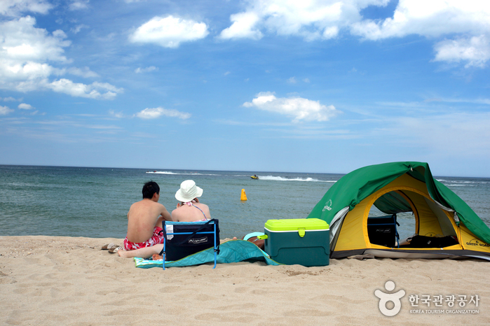 여름날의 해변 동해 바다