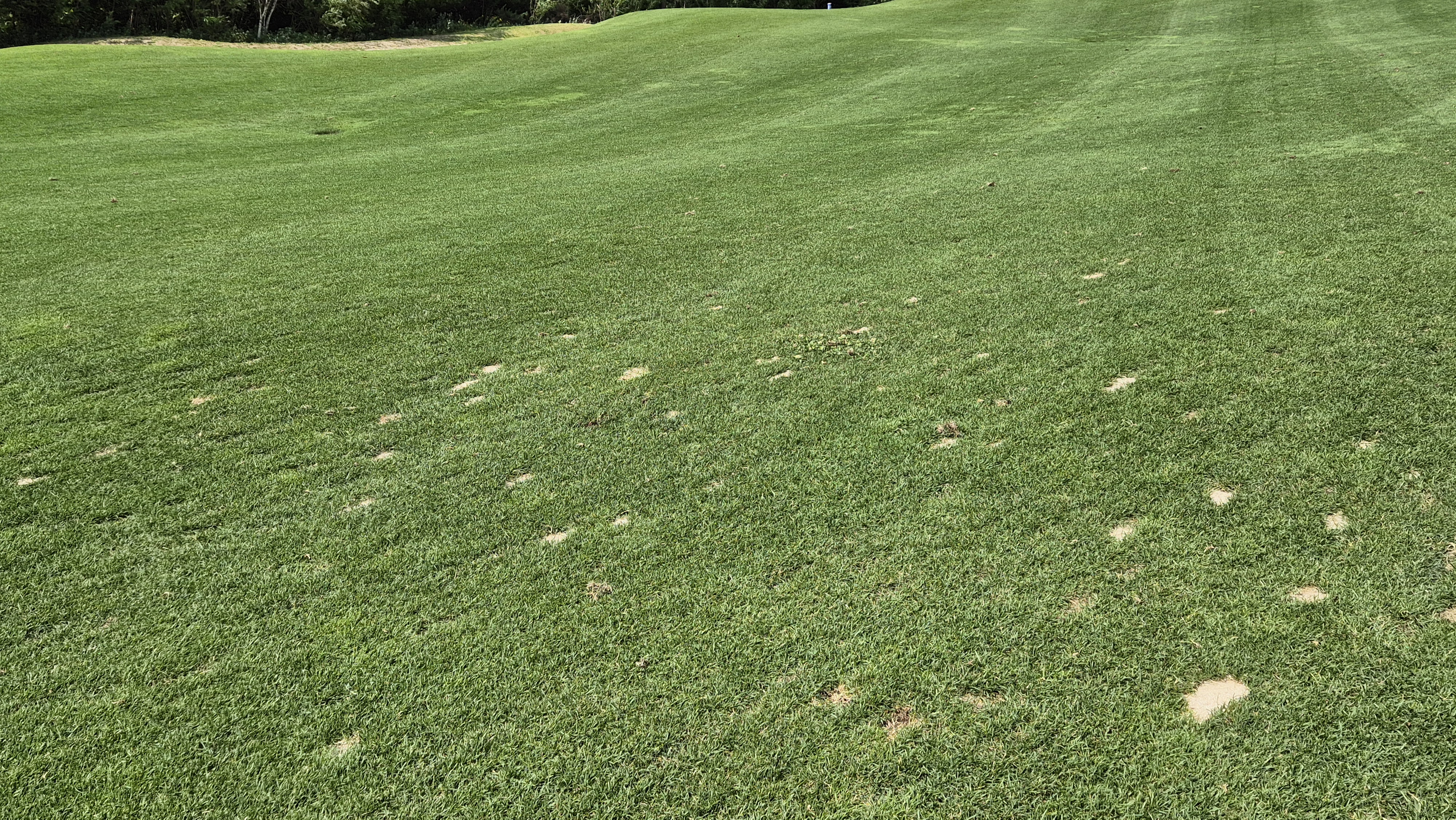 오너스gc 라운드 후기