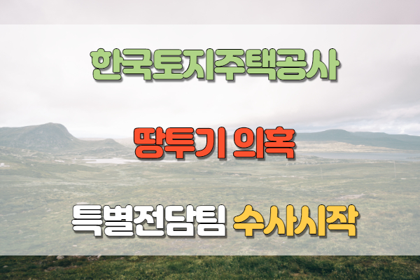 LH땅투기