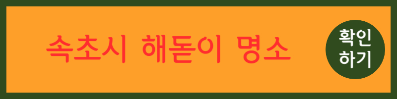 동해 해돋이 명소