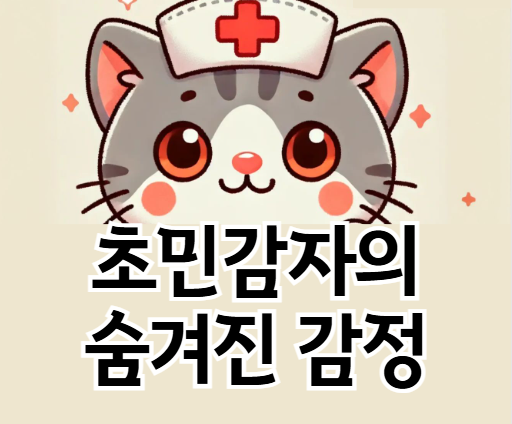초민감자(HSP)의 삶을 위한 실용적 전략: 일상, 직장, 관계에서 민감성 활용하기
