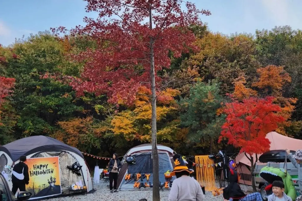 용인 단풍숲 캠핑장