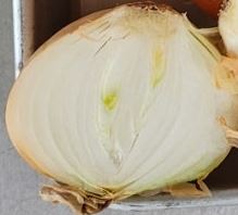 양파