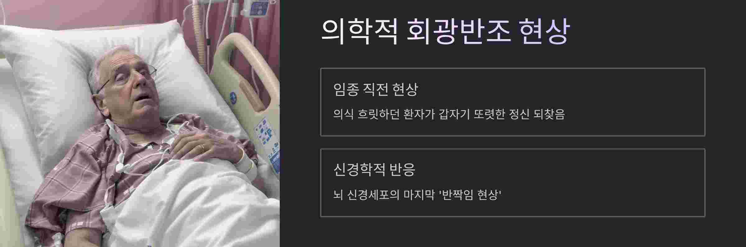 의학적현상