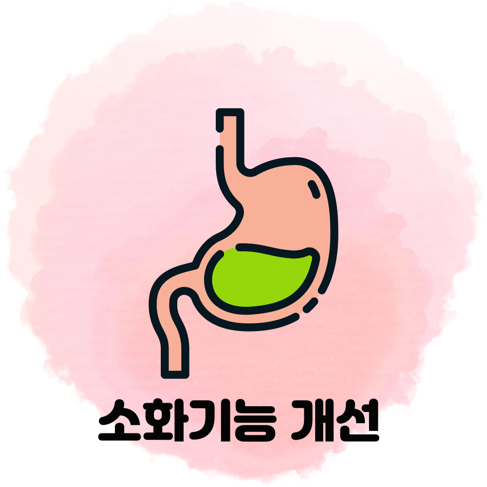 소화기능 개선
