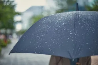 올해 장마 시작 종료일 정리 2025년 완벽 날씨 정보_9