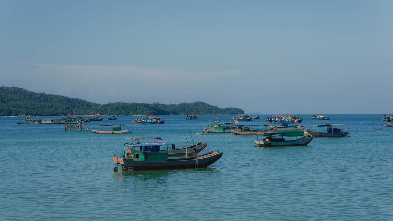 서해안 해수욕장 추천 관련 사진