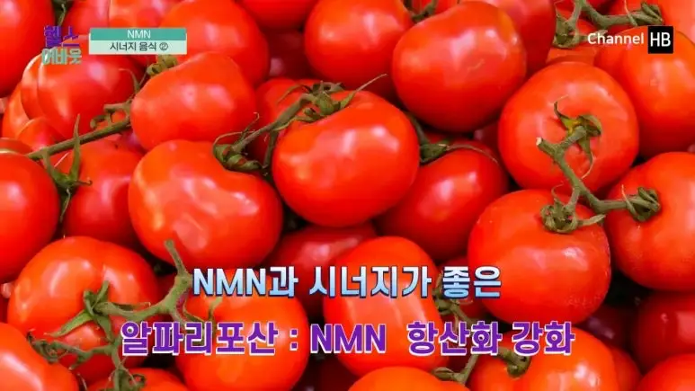 일본nmn효능