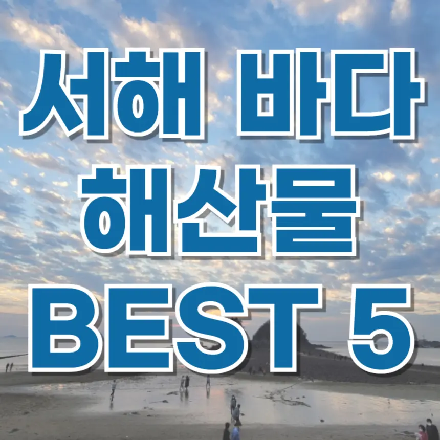 서해바다 해산물 BEST5