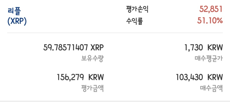 24년 12월 1일 리플 수익률
