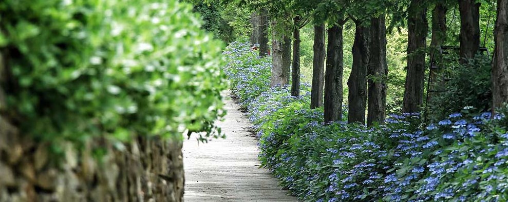 고성 그레이스 정원