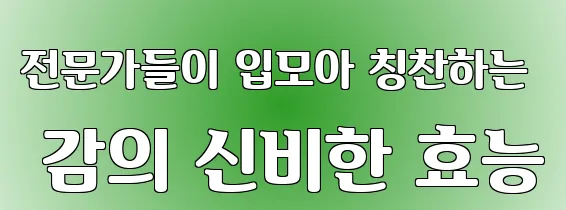 전문가들이 입모아 칭찬하는 감의 신비한 효능