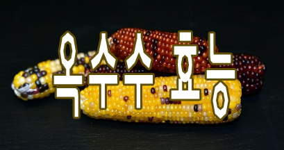 옥수수효능