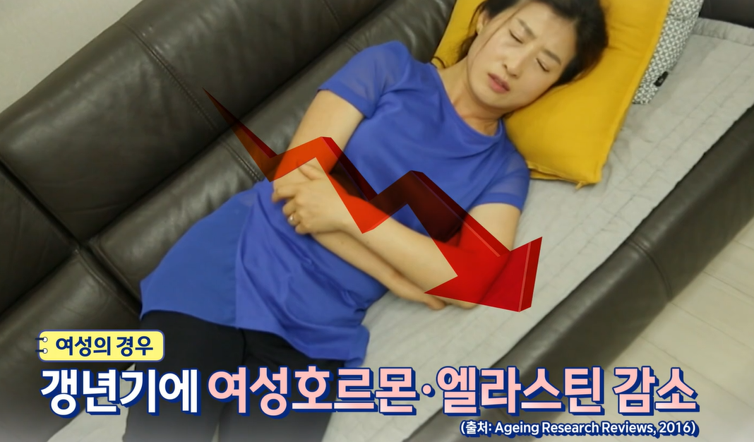 엘라스틴 효능