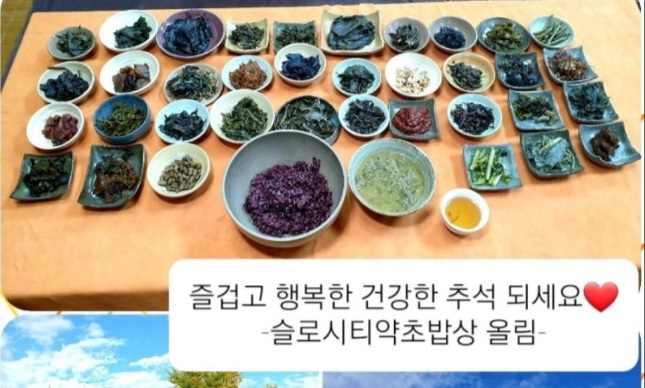 한국인의밥상-담양-약초밥상-약초전문가-최금옥-약초장아찌
