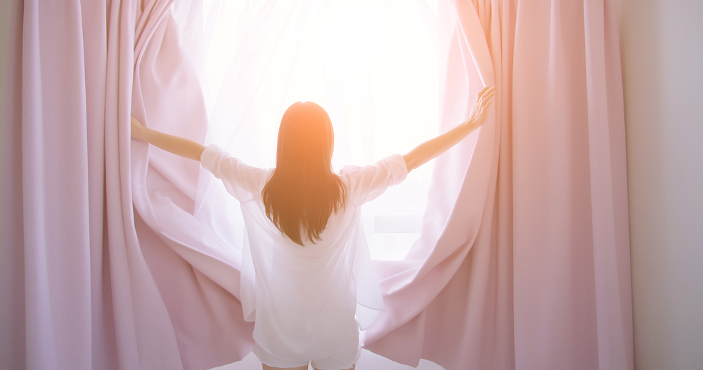 멜라토닌의 모든것