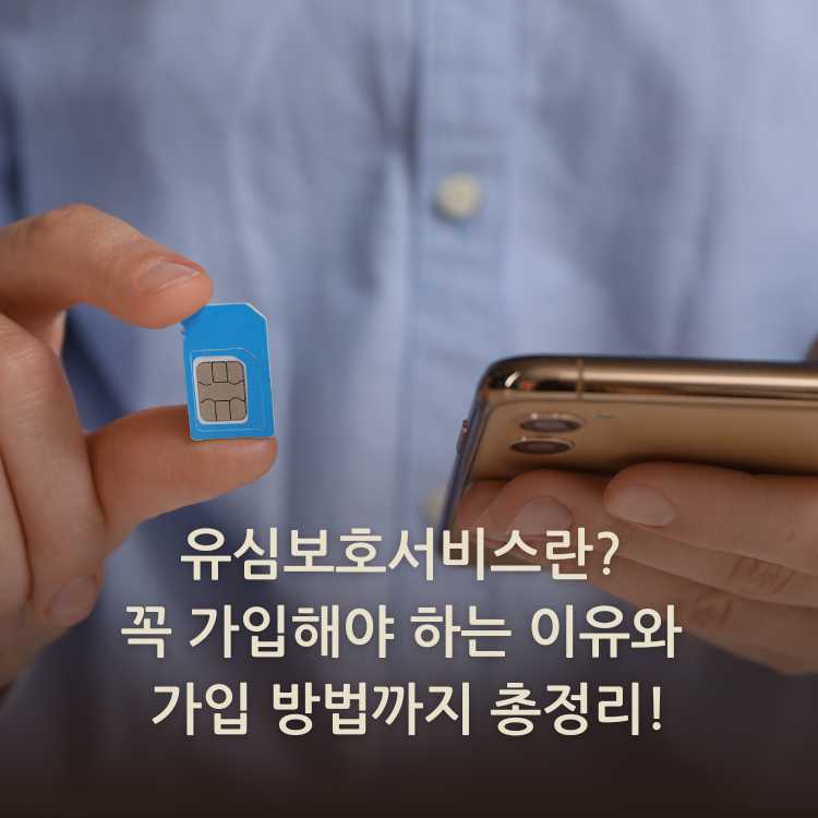 <img src="유심보호서비스란.jpg" alt="유심과-핸드폰의-이미지">