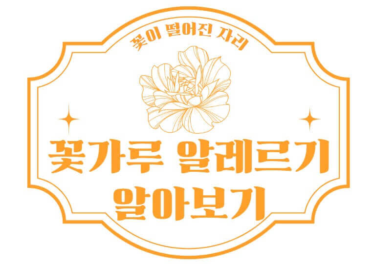 알레르기 이미지