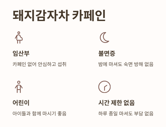 돼지감자차 카페인