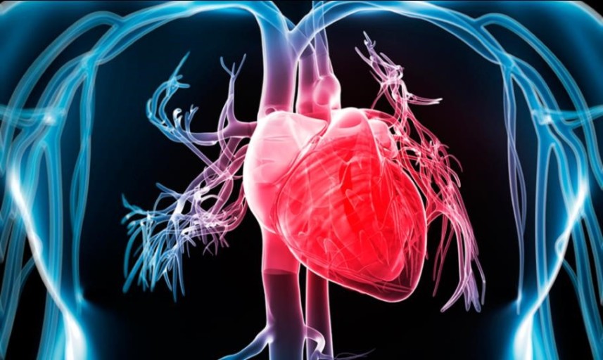 심혈관 질환의 증상과 치료 및 예방