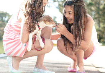 영유아기 반려동물과 함께 자라면 좋은 이유