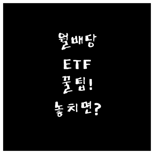 국내 월배당 ETF 추천 상품과 투자..