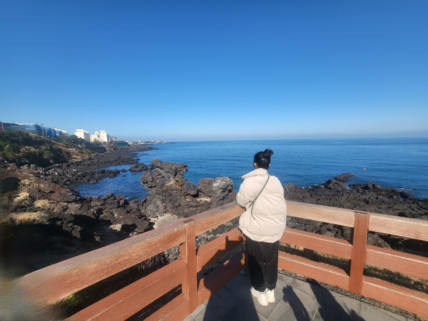 제주도 가볼만한곳 (용두암)