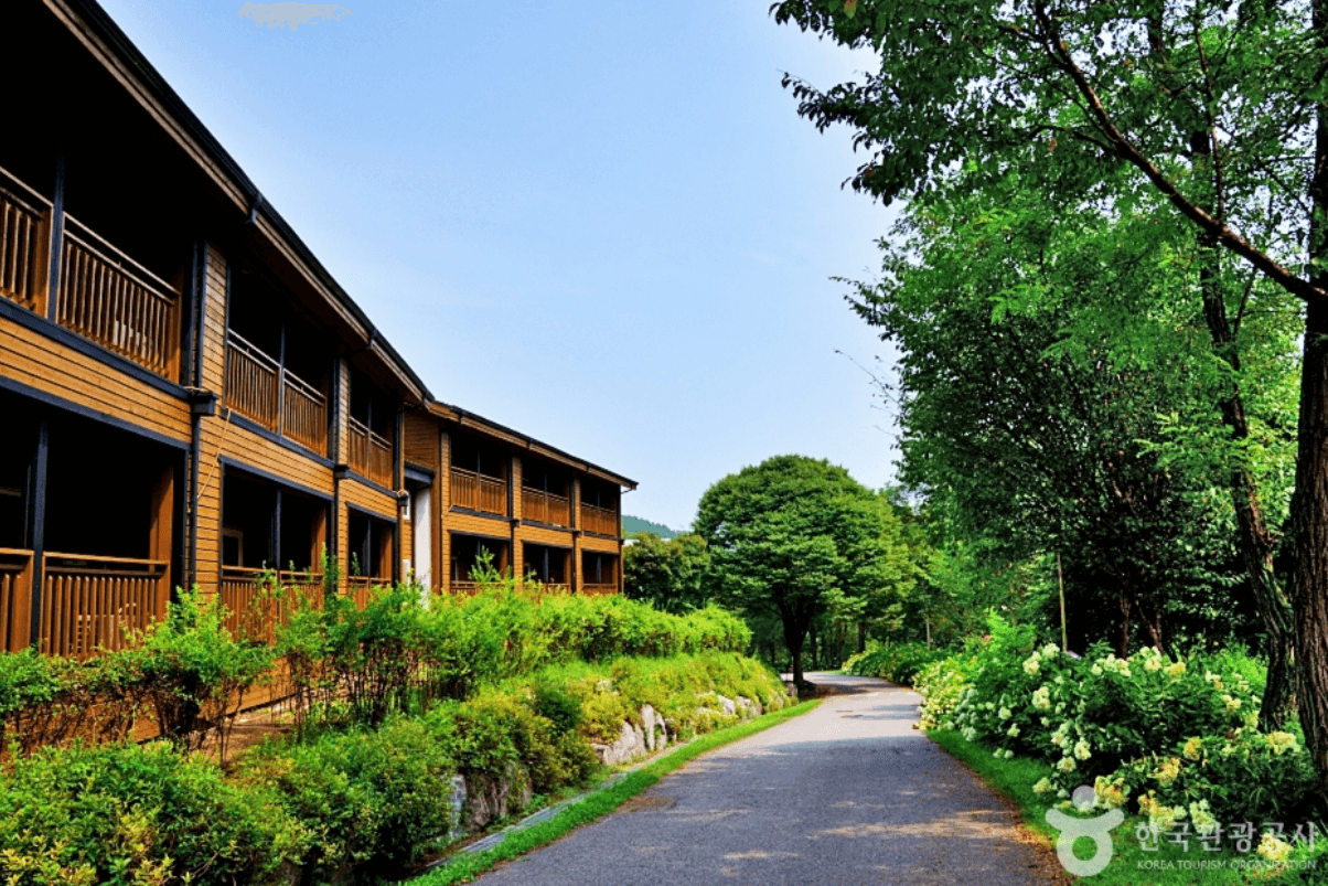 국립 상당산성 자연휴양림