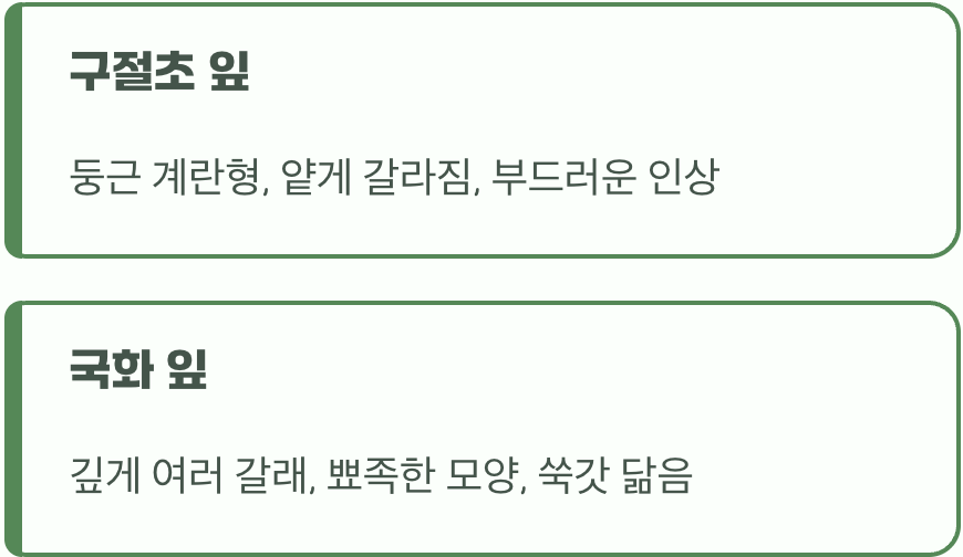 가장 확실한 증거, 잎사귀