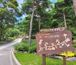 대봉산 단풍명소